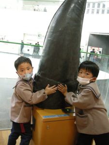DSCN2753