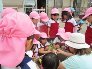 IMG_0805