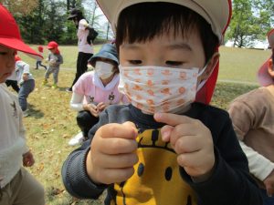 IMG_0789