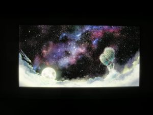 DSCN2381
